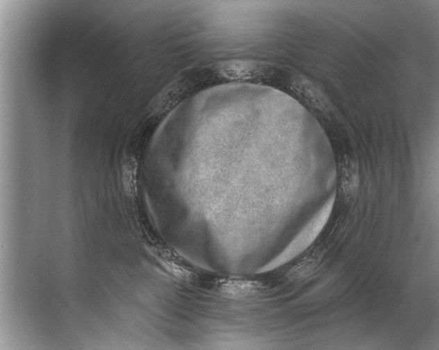 X0000071800332200607150153