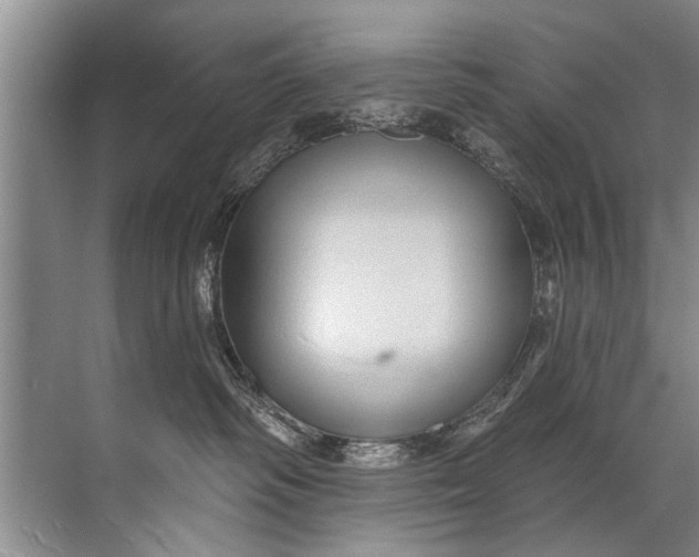 X0000071800334200607150153