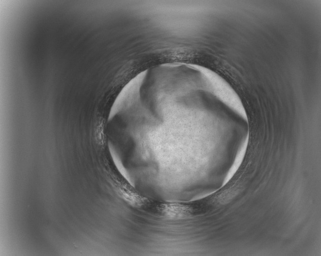 X0000071800336200607150153