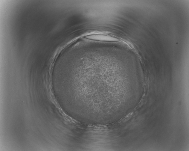 X0000071800337200607150152