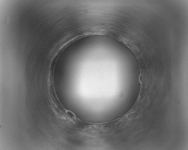 X0000071800338200607150152