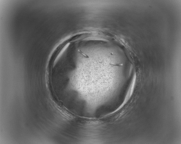 X0000071800342200607150152