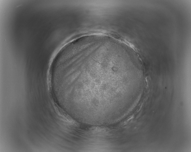 X0000071800343200607150152