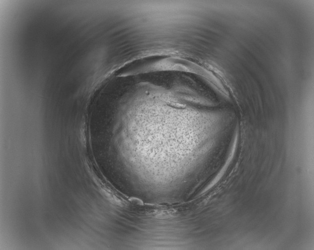 X0000071800345200607150152