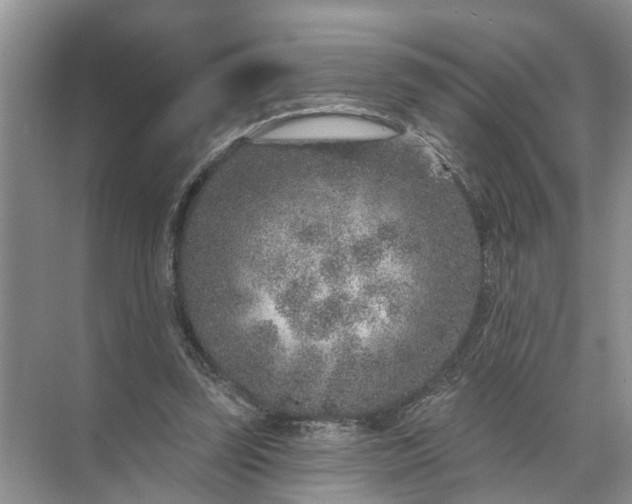 X0000071800347200607150152