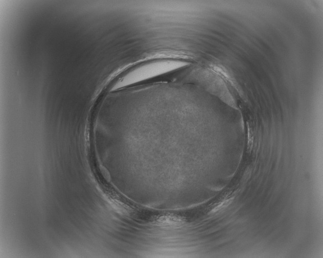 X0000071800348200607150152