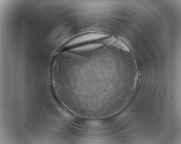 X0000071800349200607150152