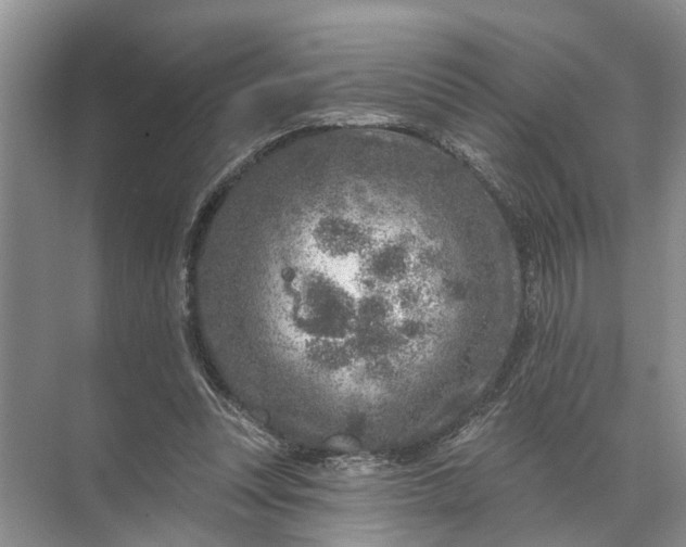 X0000071800351200607150152