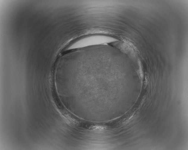 X0000071800352200607150152