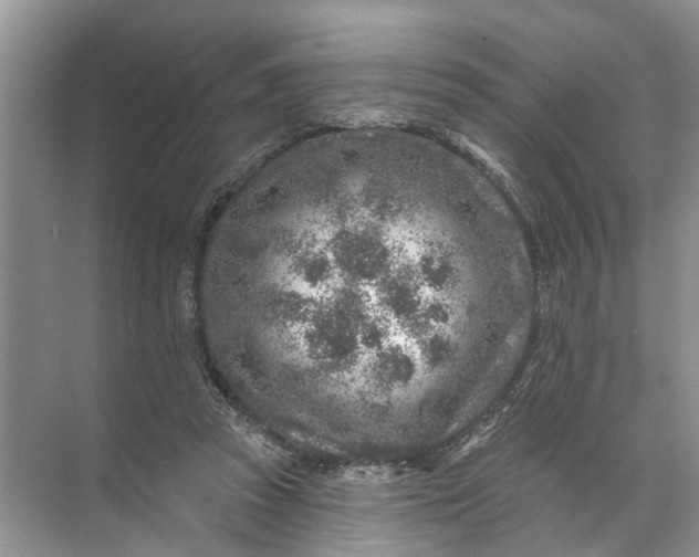 X0000071800353200607150152