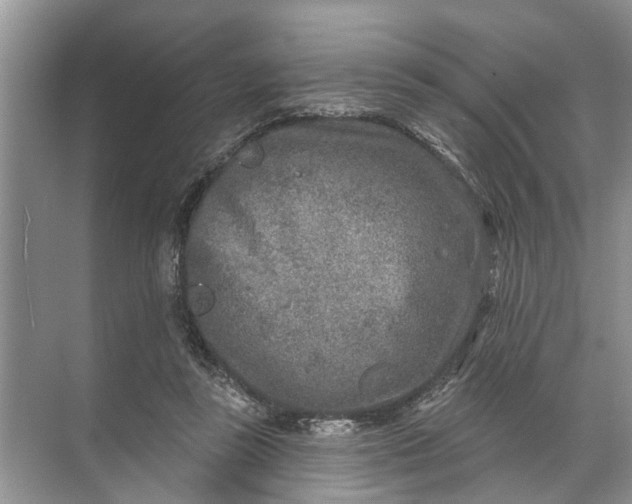 X0000071800355200607150152