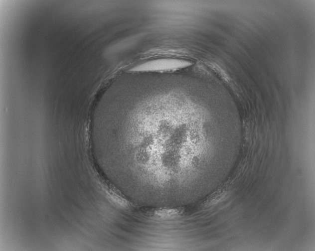 X0000071800357200607150152