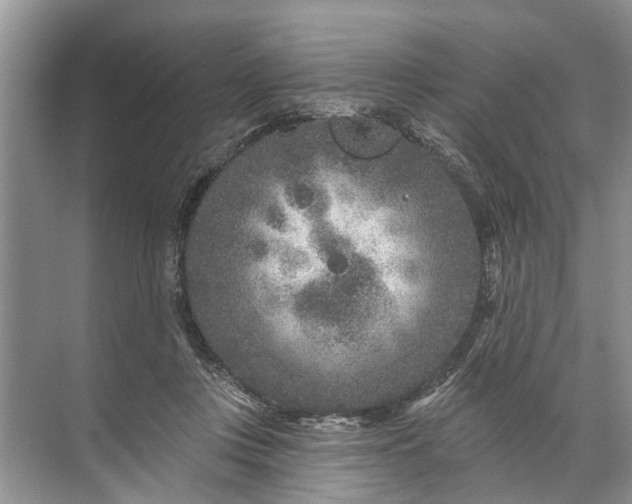 X0000071800359200607150152