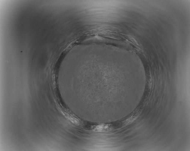 X0000071800366200607150153