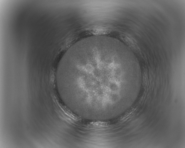 X0000071800367200607150153