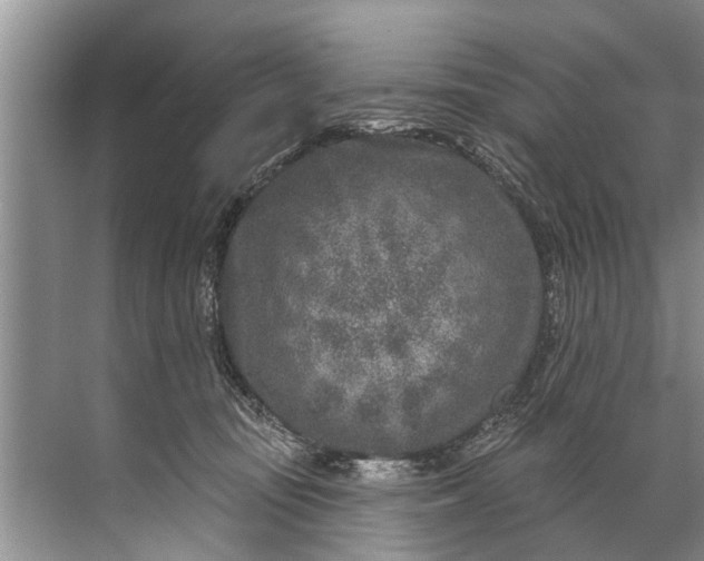 X0000071800371200607150153