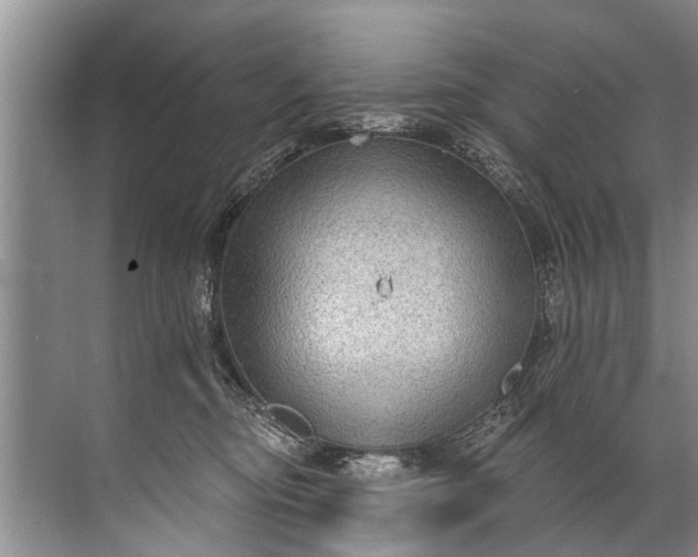 X0000071800374200607150153