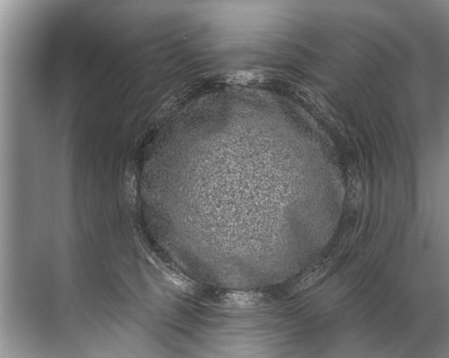 X0000071800375200607150153