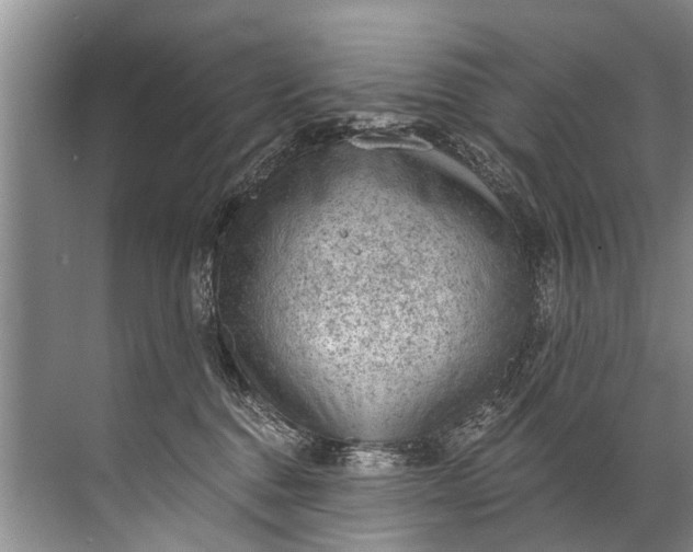 X0000071800376200607150153