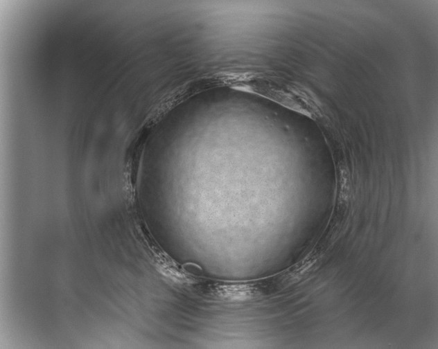 X0000071800377200607150153