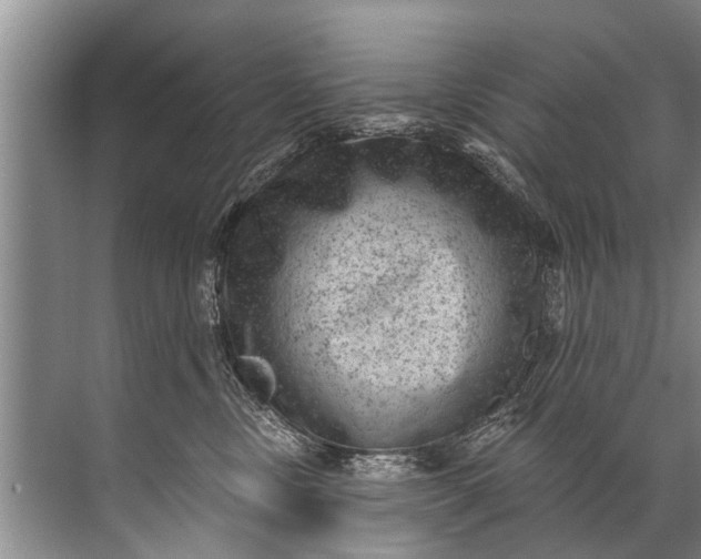 X0000071800378200607150153