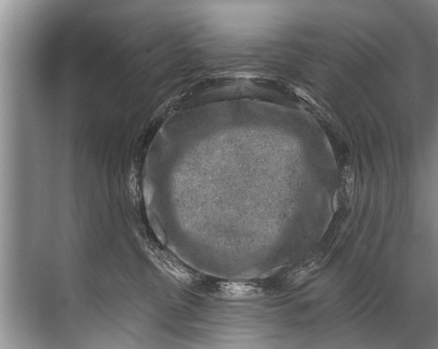 X0000071800380200607150153