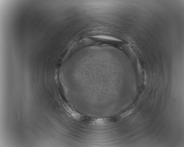 X0000071800382200607150153