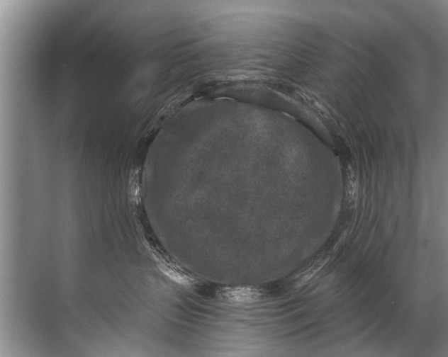 X0000071800383200607150153