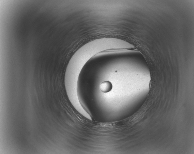 X0000071800384200607150153