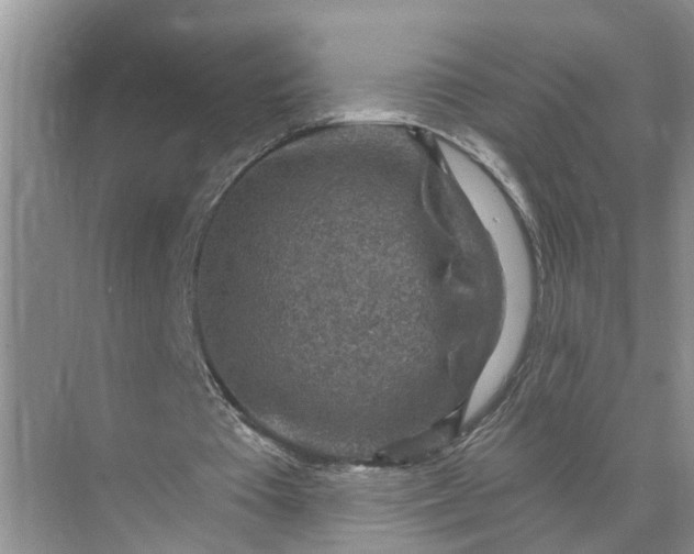 X0000071800385200607150152