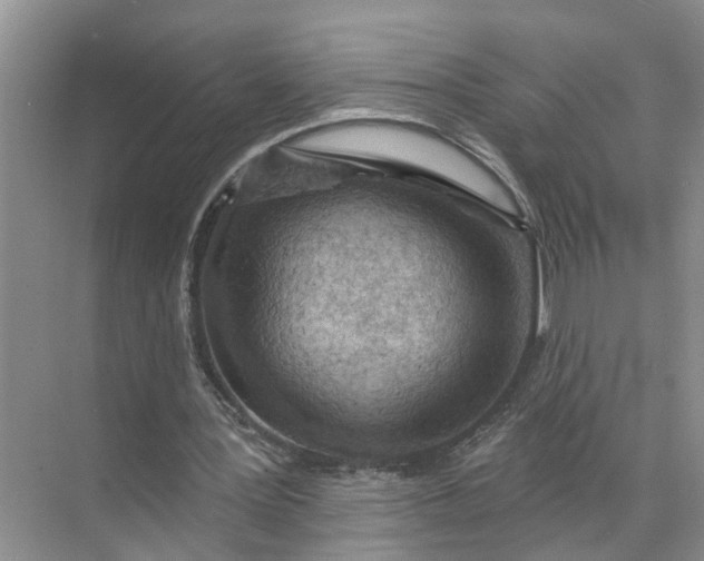 X0000071800387200607150152