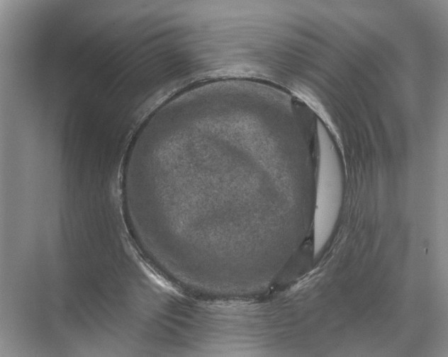 X0000071800389200607150152