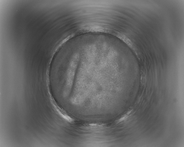 X0000071800390200607150152