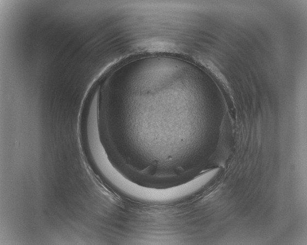 X0000071800391200607150152