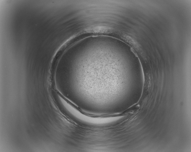 X0000071800392200607150152