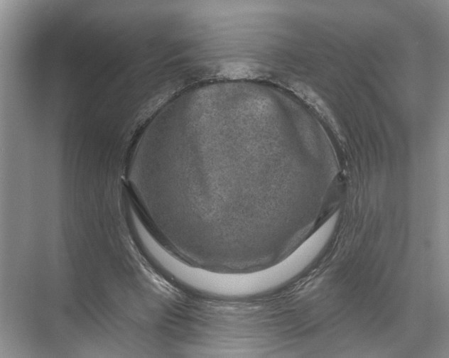 X0000071800393200607150152