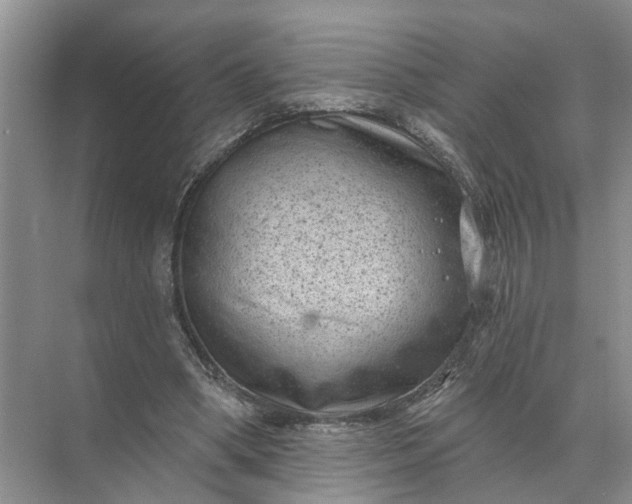 X0000071800394200607150152