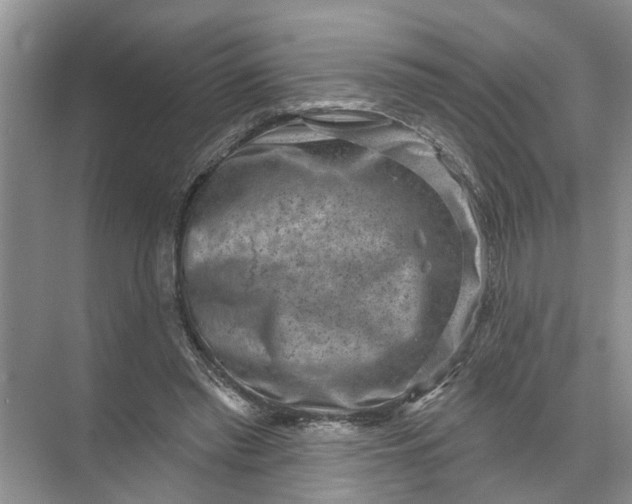 X0000071800397200607150152