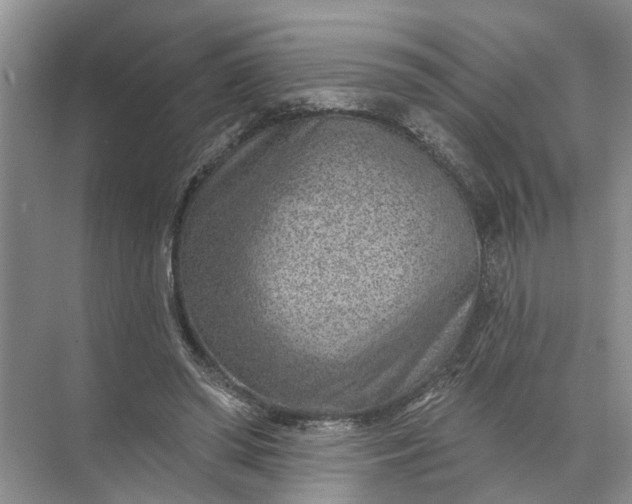 X0000071800398200607150152