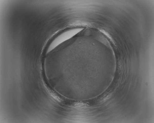 X0000071800399200607150152