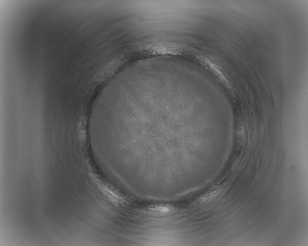 X0000071800402200607150152