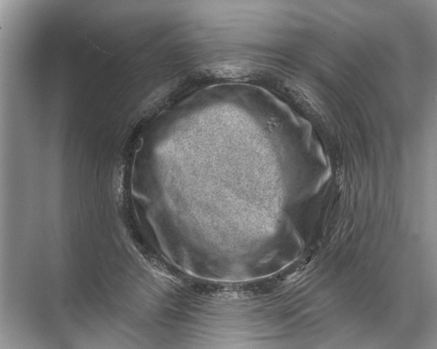 X0000071800404200607150152