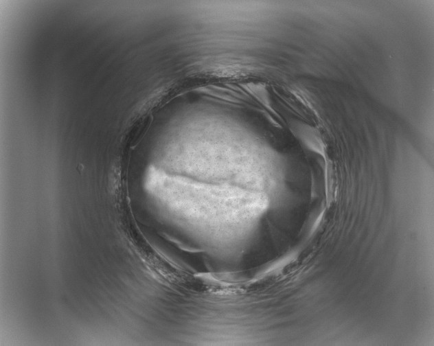 X0000071800407200607150152