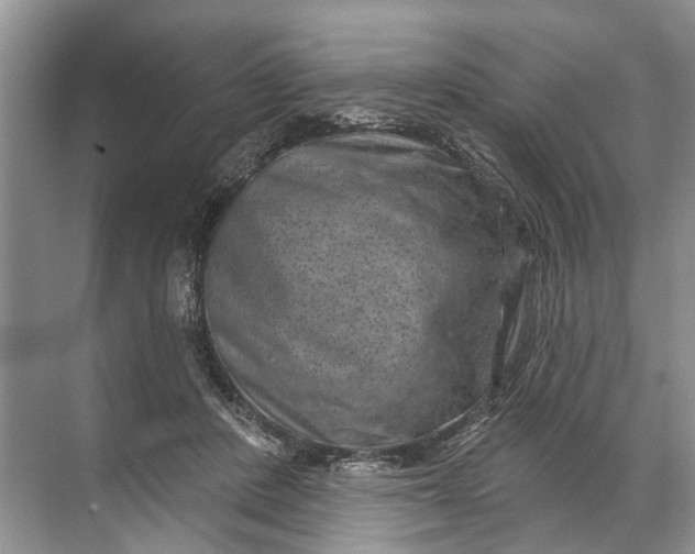 X0000071800408200607150152