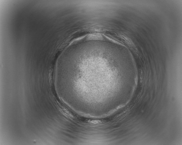 X0000071800409200607150152