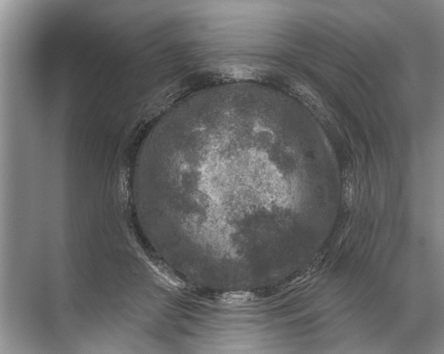 X0000071800410200607150152