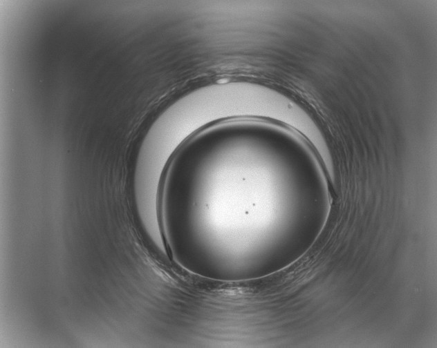 X0000071800411200607150152