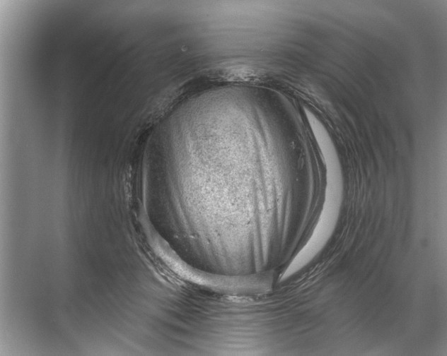 X0000071800413200607150152