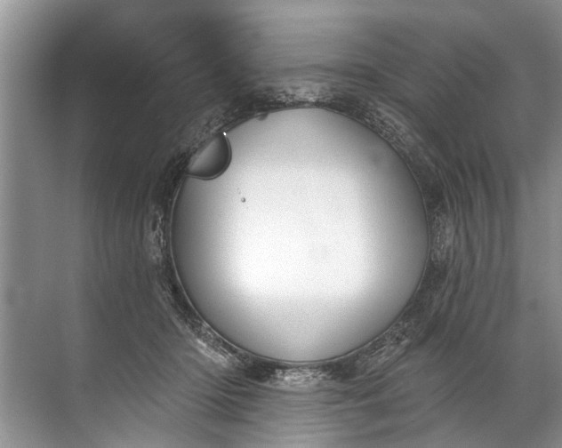 X0000071800414200607150152