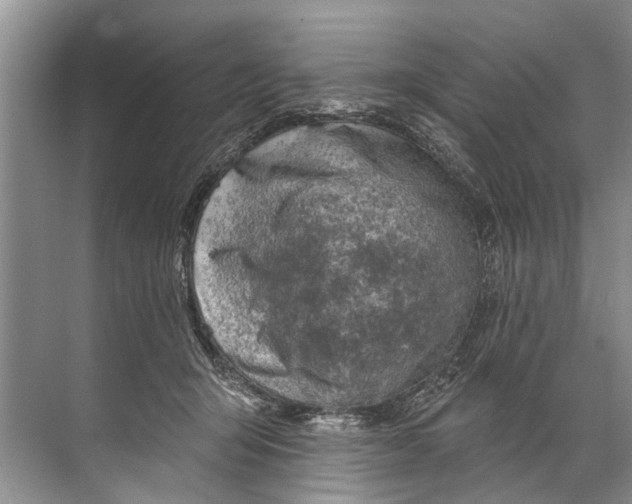 X0000071800415200607150152